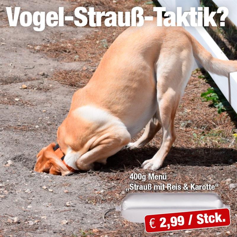 Sonderabverkauf Hund Aktionen Fleischeslust Tiernahrung GmbH
